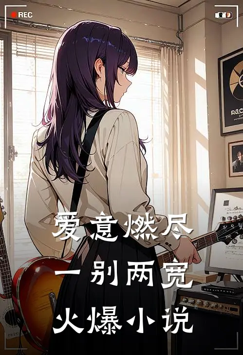 爱意燃尽，一别两宽火爆小说