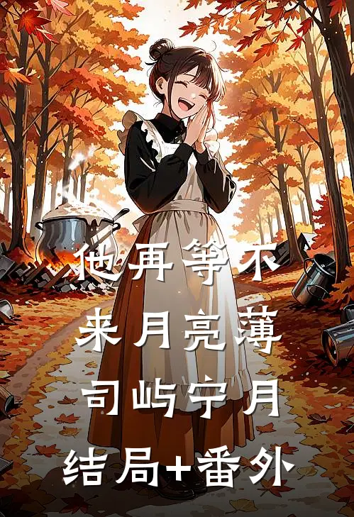 他再等不来月亮薄司屿宁月:结局+番外