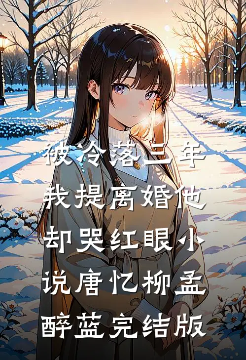被冷落三年，我提离婚他却哭红眼小说唐忆柳孟醉蓝完结版