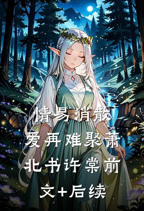 情易消散，爱再难聚萧北书许棠前文+后续