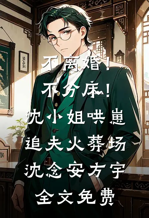 不离婚！不分床！沈小姐哄崽追夫火葬场沈念安方宇全文免费