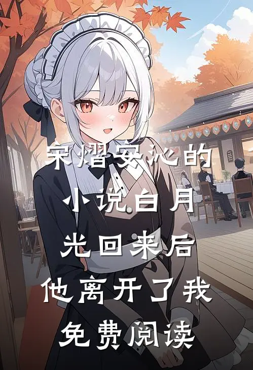 宋熠安沁的小说白月光回来后，他离开了我免费阅读