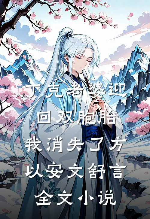 丁克老婆迎回双胞胎，我消失了方以安文舒言全文小说