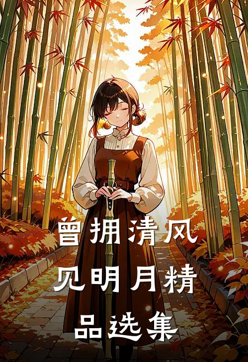 曾拥清风见明月精品选集