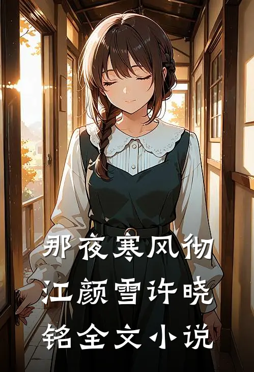 那夜寒风彻江颜雪许晓铭全文小说