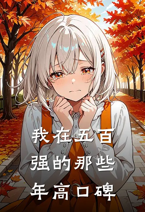 我在五百强的那些年高口碑
