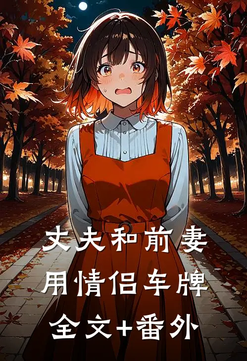 丈夫和前妻用情侣车牌全文+番外