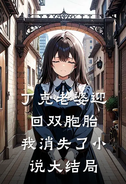 丁克老婆迎回双胞胎，我消失了小说大结局