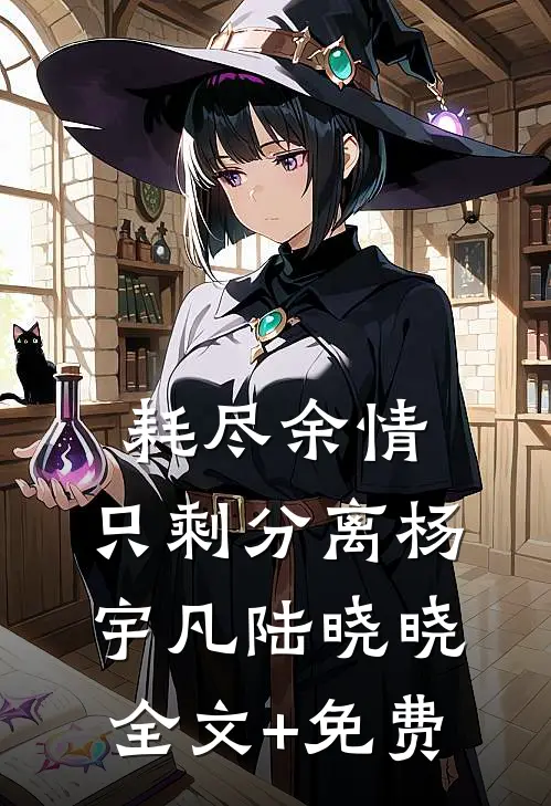 耗尽余情，只剩分离杨宇凡陆晓晓全文+免费