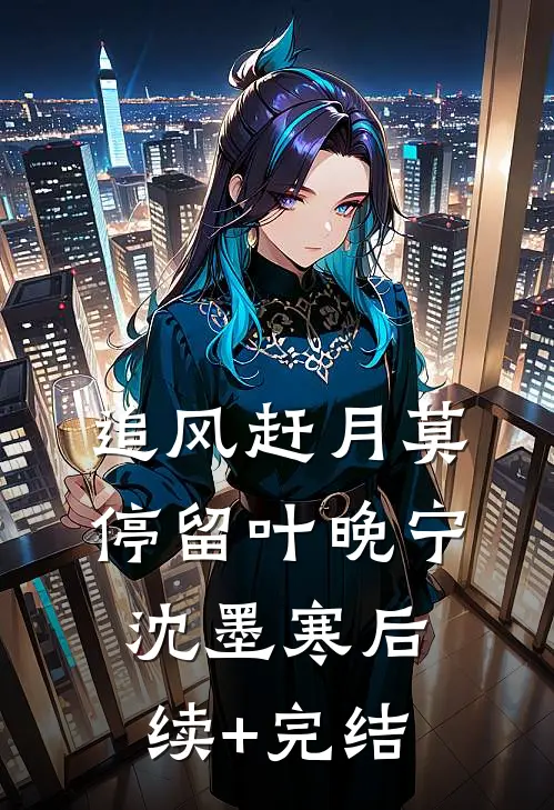 追风赶月莫停留叶晚宁沈墨寒后续+完结