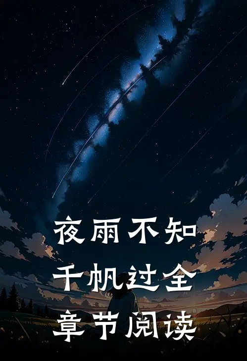 夜雨不知千帆过全章节阅读
