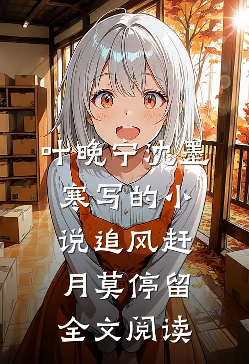 叶晚宁沈墨寒写的小说追风赶月莫停留全文阅读