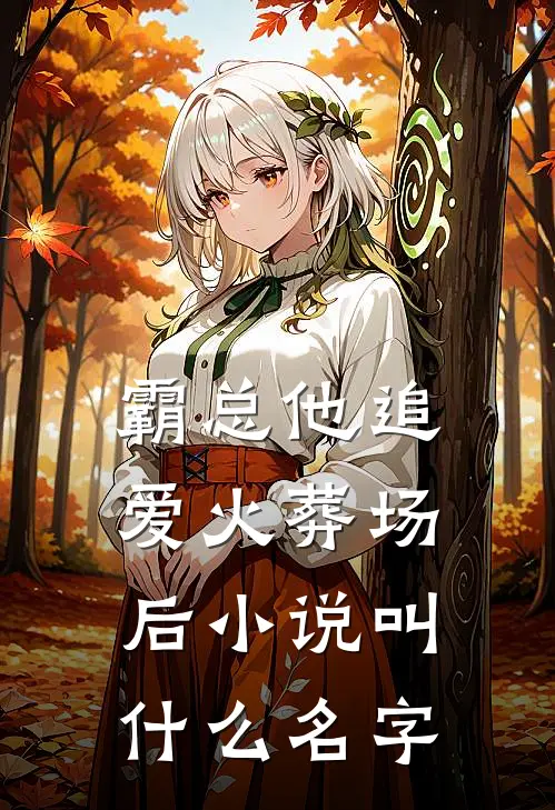霸总他追爱火葬场后小说叫什么名字