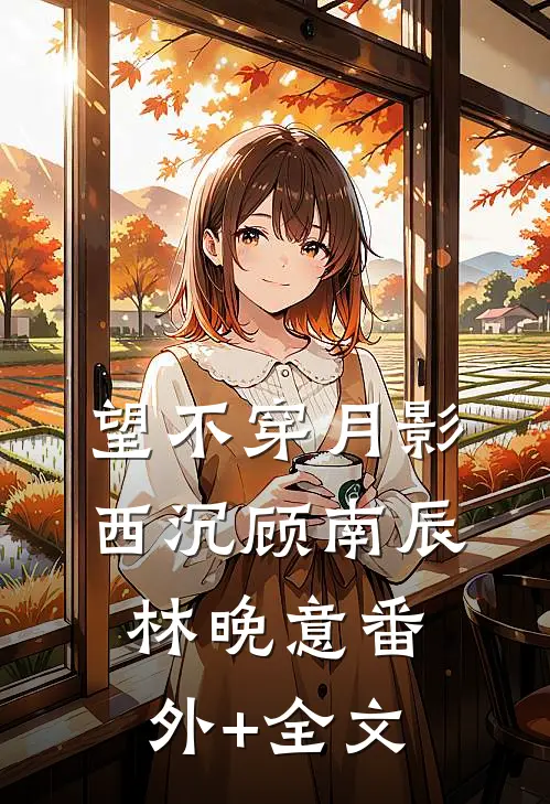 望不穿月影西沉顾南辰林晚意(番外)+(全文)