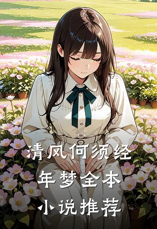 清风何须经年梦全本小说推荐