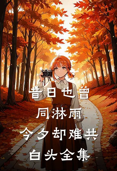 昔日也曾同淋雨，今夕却难共白头全集