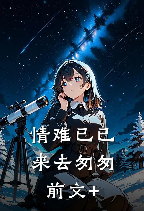 情难已已，来去匆匆前文+