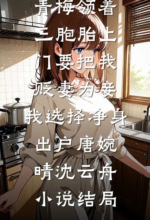 青梅领着三胞胎上门要把我贬妻为妾，我选择净身出户唐婉晴沈云舟小说结局