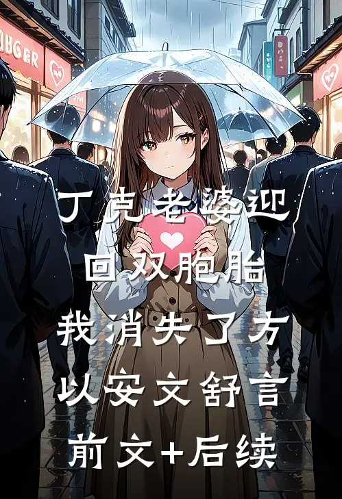 丁克老婆迎回双胞胎，我消失了方以安文舒言前文+后续