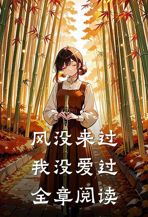 风没来过，我没爱过全章阅读