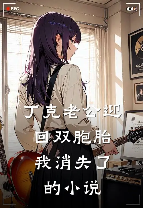 丁克老公迎回双胞胎，我消失了的小说