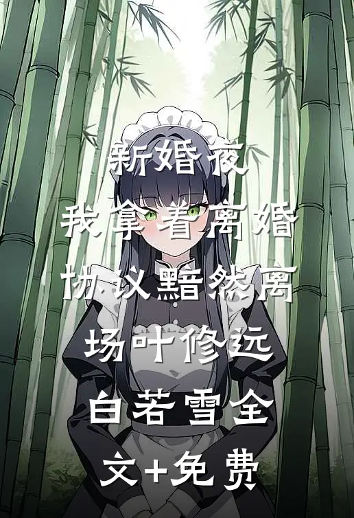 新婚夜，我拿着离婚协议黯然离场叶修远白若雪全文+免费