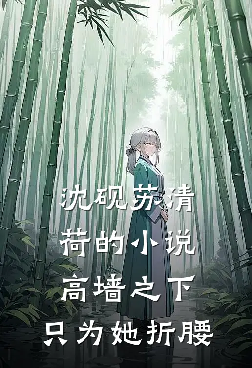 沈砚苏清荷的小说高墙之下，只为她折腰