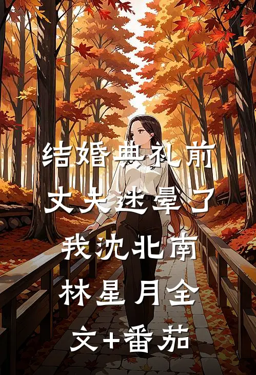 结婚典礼前，丈夫迷晕了我沈北南林星月全文+番茄