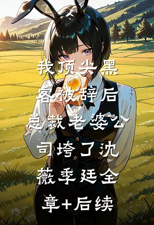 我顶尖黑客被辞后，总裁老婆公司垮了沈薇季廷全章+后续