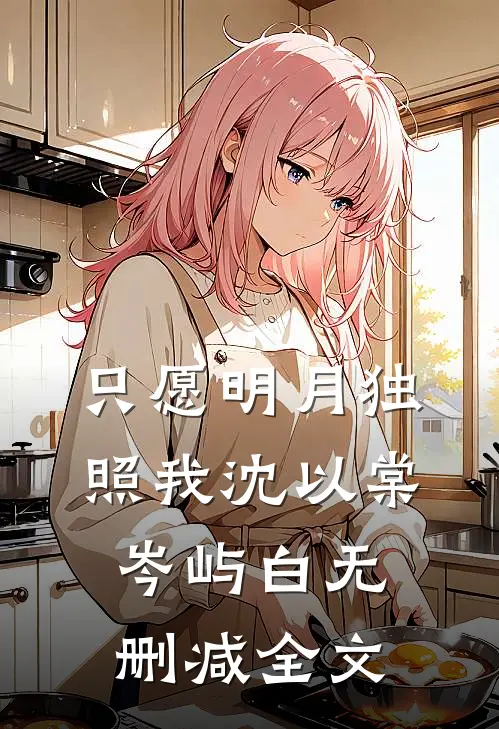 只愿明月独照我沈以棠岑屿白无删减全文