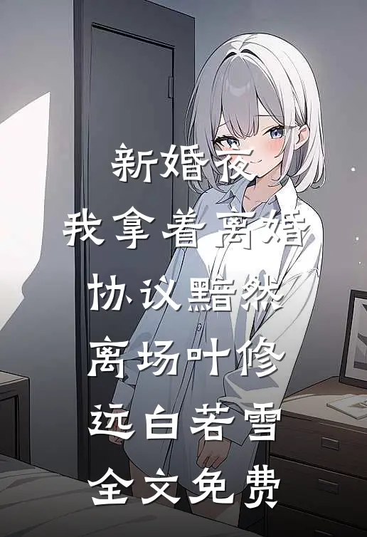 新婚夜，我拿着离婚协议黯然离场叶修远白若雪全文免费