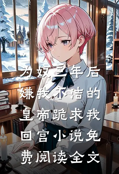 为奴三年后，嫌我不洁的皇帝跪求我回宫小说免费阅读全文