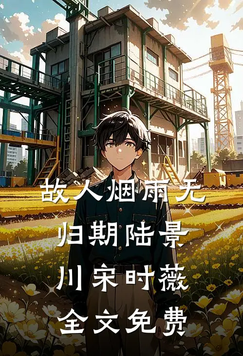 故人烟雨无归期陆景川宋时薇全文免费