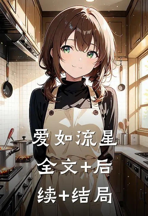 爱如流星:全文+后续+结局