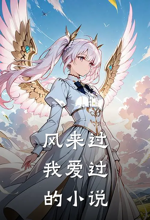 风来过，我爱过的小说