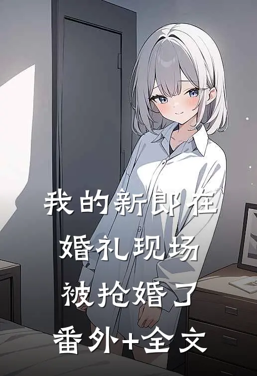 我的新郎在婚礼现场被抢婚了:(番外)+(全文)