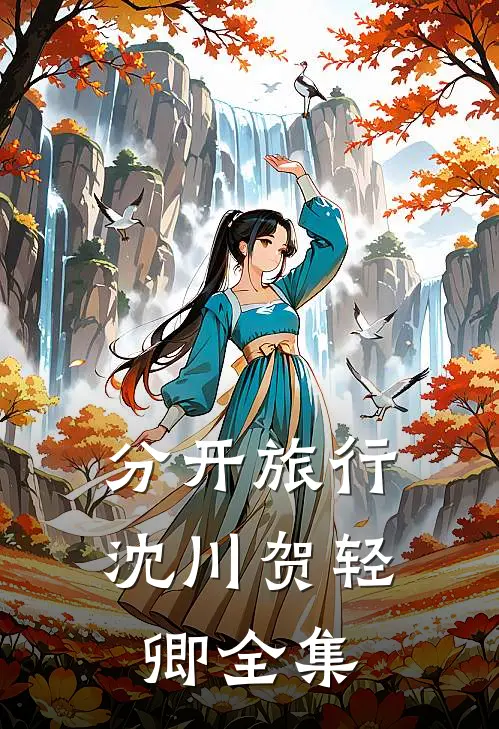 分开旅行沈川贺轻卿全集