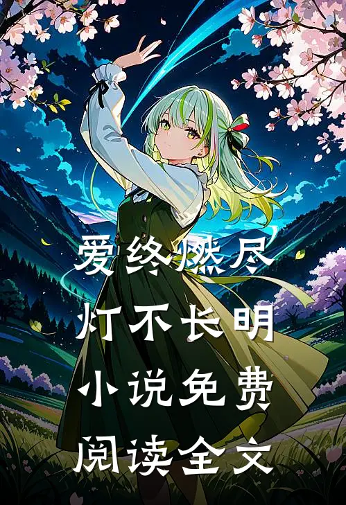爱终燃尽，灯不长明小说免费阅读全文