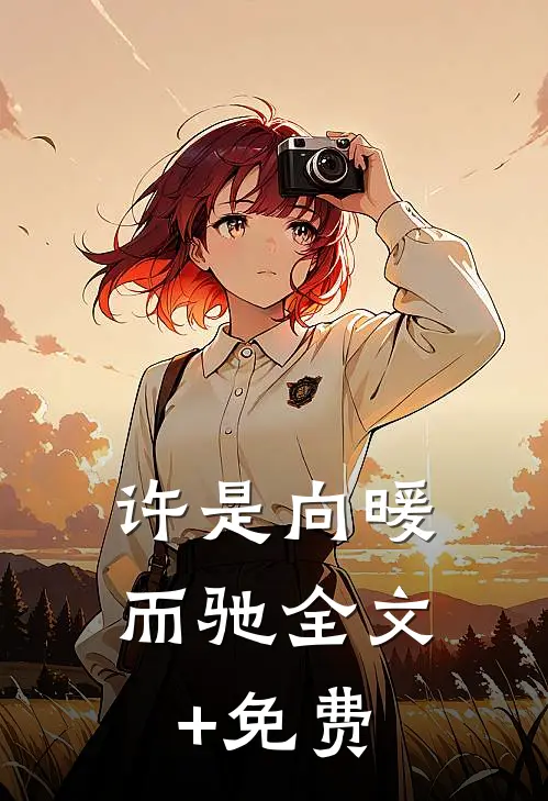 许是向暖而驰全文+免费