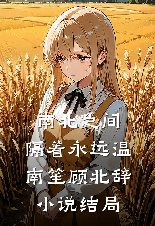 南北之间，隔着永远温南笙顾北辞小说结局