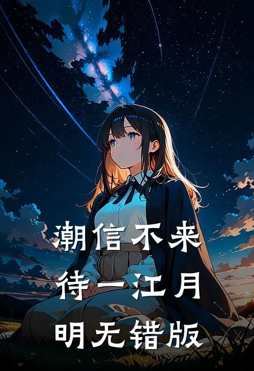 我心昭昭不如愿完结版