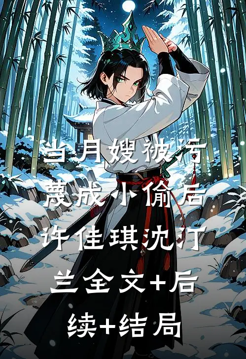 当月嫂被污蔑成小偷后许佳琪沈汀兰全文+后续+结局