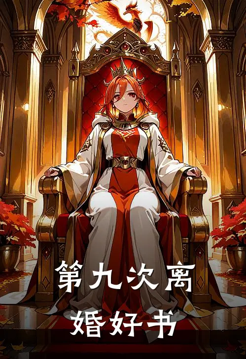 第九次离婚好书
