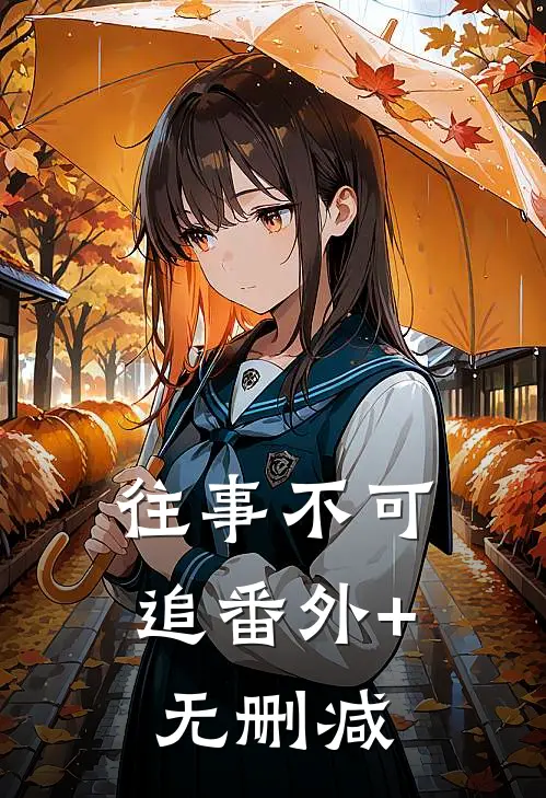 往事不可追番外+无删减