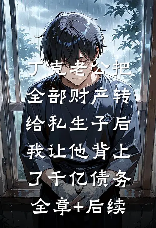 丁克老公把全部财产转给私生子后，我让他背上了千亿债务全章+后续