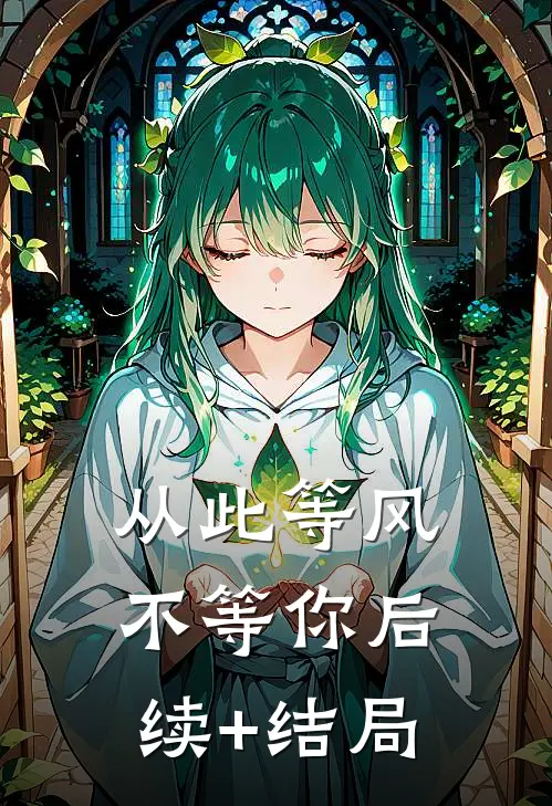 从此等风不等你后续+结局