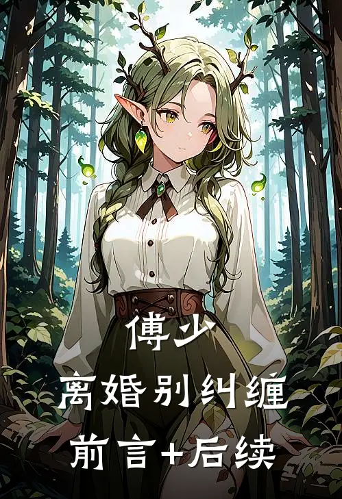 傅少，离婚别纠缠前言+后续