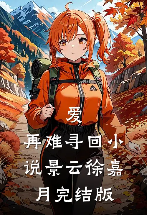 爱，再难寻回小说景云徐嘉月完结版