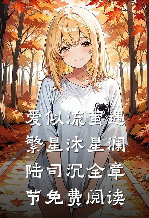 爱似流萤遇繁星沐星澜陆司沉全章节免费阅读