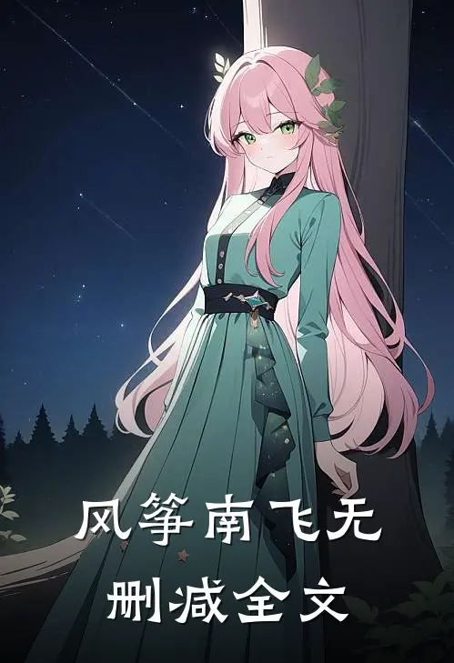风筝南飞无删减全文